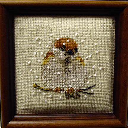 SHOP MODEL - SPARROW KIT